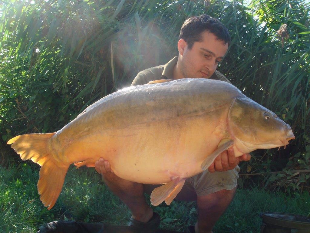 Nagykallo 2012 - 11.jpg